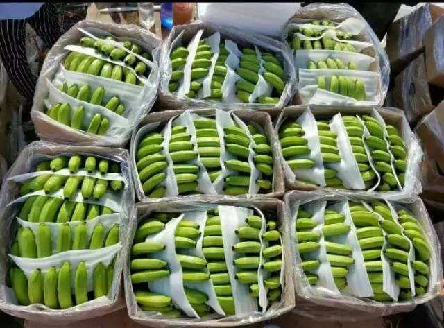 鄭州包裝盒定制-流通渠道的暢通